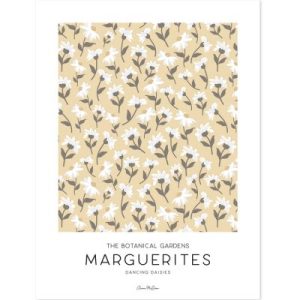 achetez Affiche Marguerites jaune (30 x 40 cm) Lilipinso au meilleur prix en promo