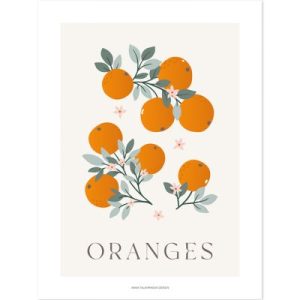achetez Affiche Oranges (30 x 40 cm) Lilipinso au meilleur prix en promo