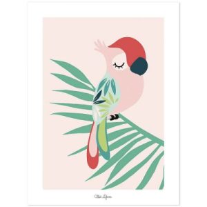achetez Affiche perroquet rose (30 x 40 cm) Lilipinso au meilleur prix en promo