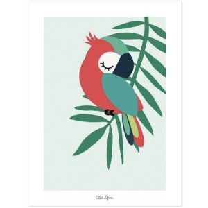 achetez Affiche perroquet vert (30 x 40 cm) Lilipinso au meilleur prix en promo