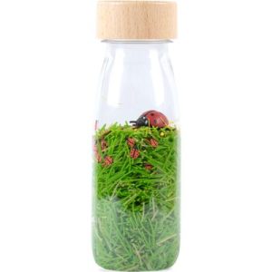 achetez Bouteille sensorielle Sound Coccinelles Petit Boum au meilleur prix en promo
