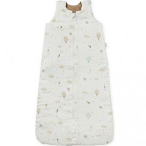 achetez Gigoteuse chaude en coton bio Dreamland TOG 2