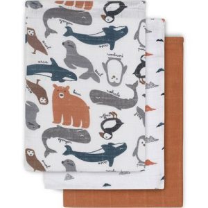 achetez Lot de 3 gants de toilette hydrophiles Polar Jollein au meilleur prix en promo