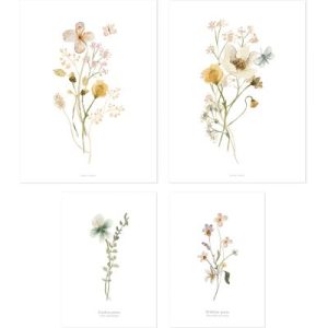 achetez Lot de 4 affiches Botanical flowers Lilipinso au meilleur prix en promo