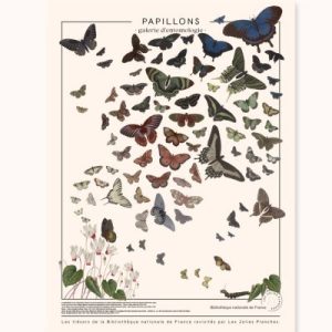 achetez Planche Papillons (60 x 80 cm) les jolies planches au meilleur prix en promo
