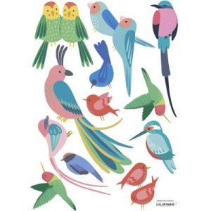achetez Planche de stickers Oiseaux Rio Lilipinso au meilleur prix en promo