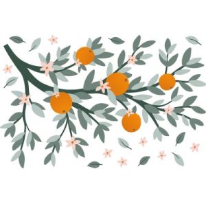 achetez Sticker mural Oranges sur branche (54 x 90 cm) Lilipinso au meilleur prix en promo