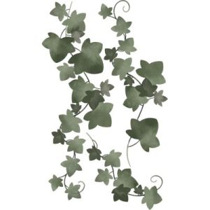 achetez Stickers muraux Lierre grimpant (27 x 45 cm) Lilipinso au meilleur prix en promo