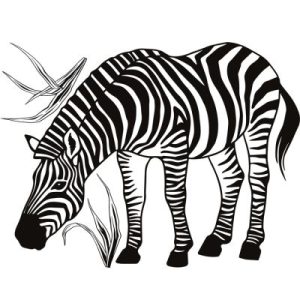 achetez Stickers muraux Zèbre (60 x 45 cm) Lilipinso au meilleur prix en promo