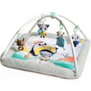 achetez Tapis d'éveil Gymini avec arches ultra confort Polaire Tiny Love au meilleur prix en promo